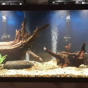 Meet your Posher, Timothy